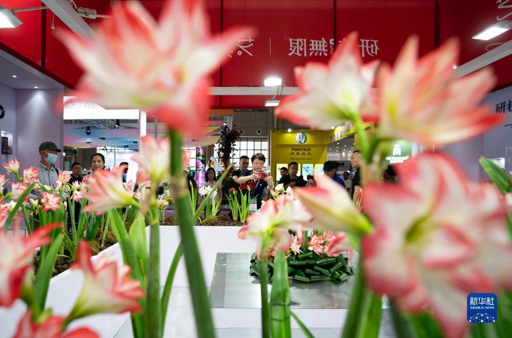 澳门威斯尼斯
